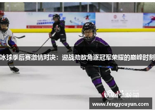 冰球季后赛激情对决：迎战劲敌角逐冠军荣耀的巅峰时刻