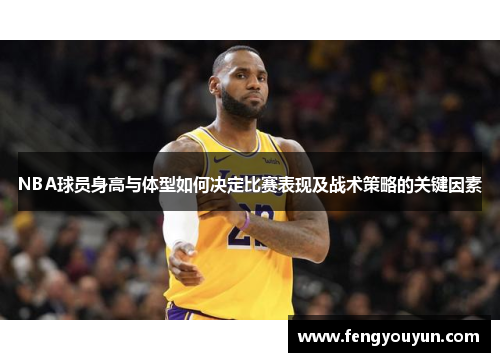 NBA球员身高与体型如何决定比赛表现及战术策略的关键因素